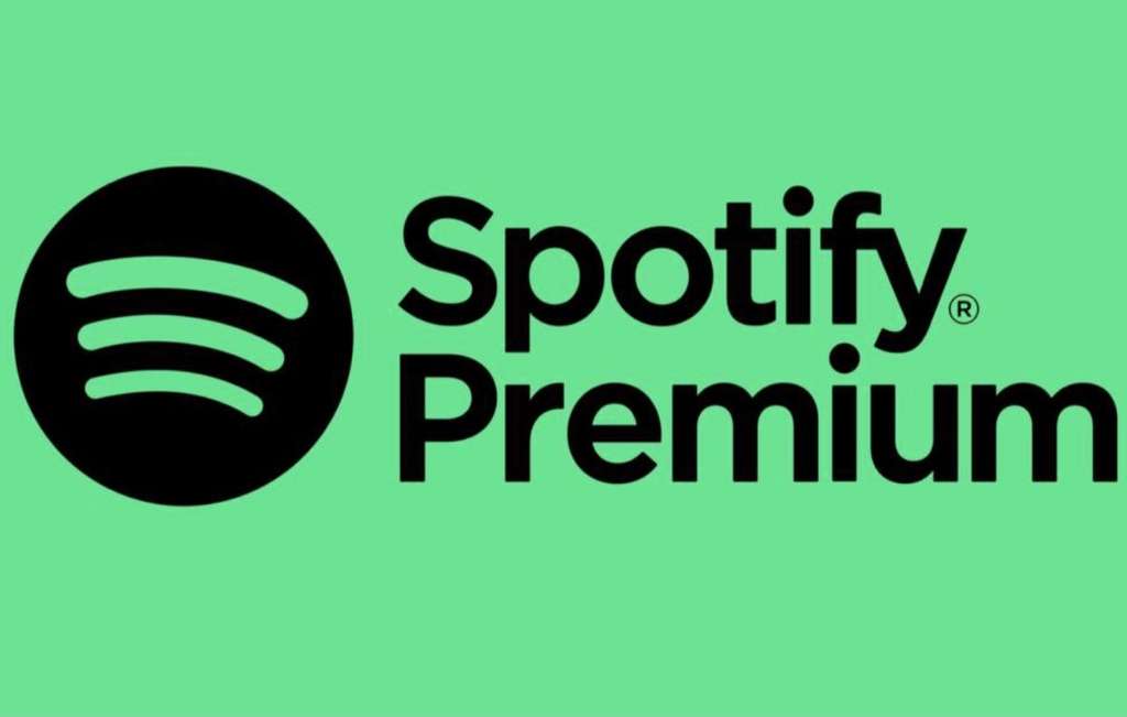 Spotify 6 months free chase